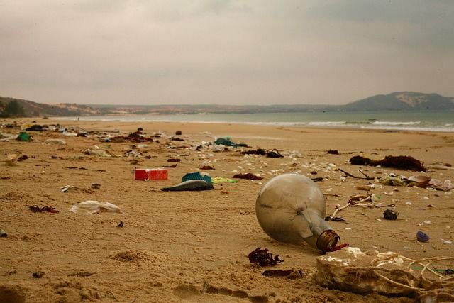 Desechos plásticos en la arena